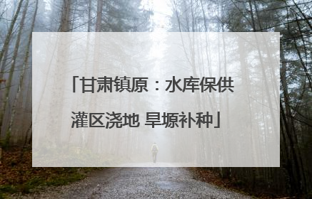 甘肃镇原：水库保供 灌区浇地 旱塬补种